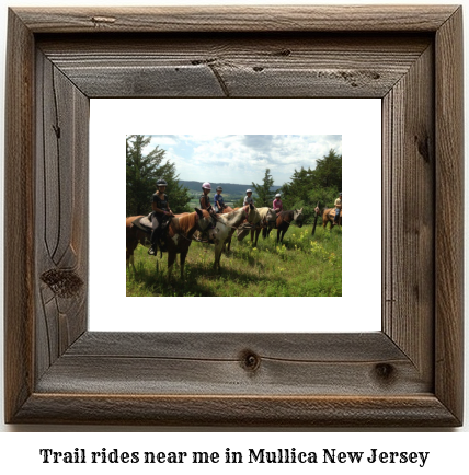 trail rides near me in Mullica, New Jersey